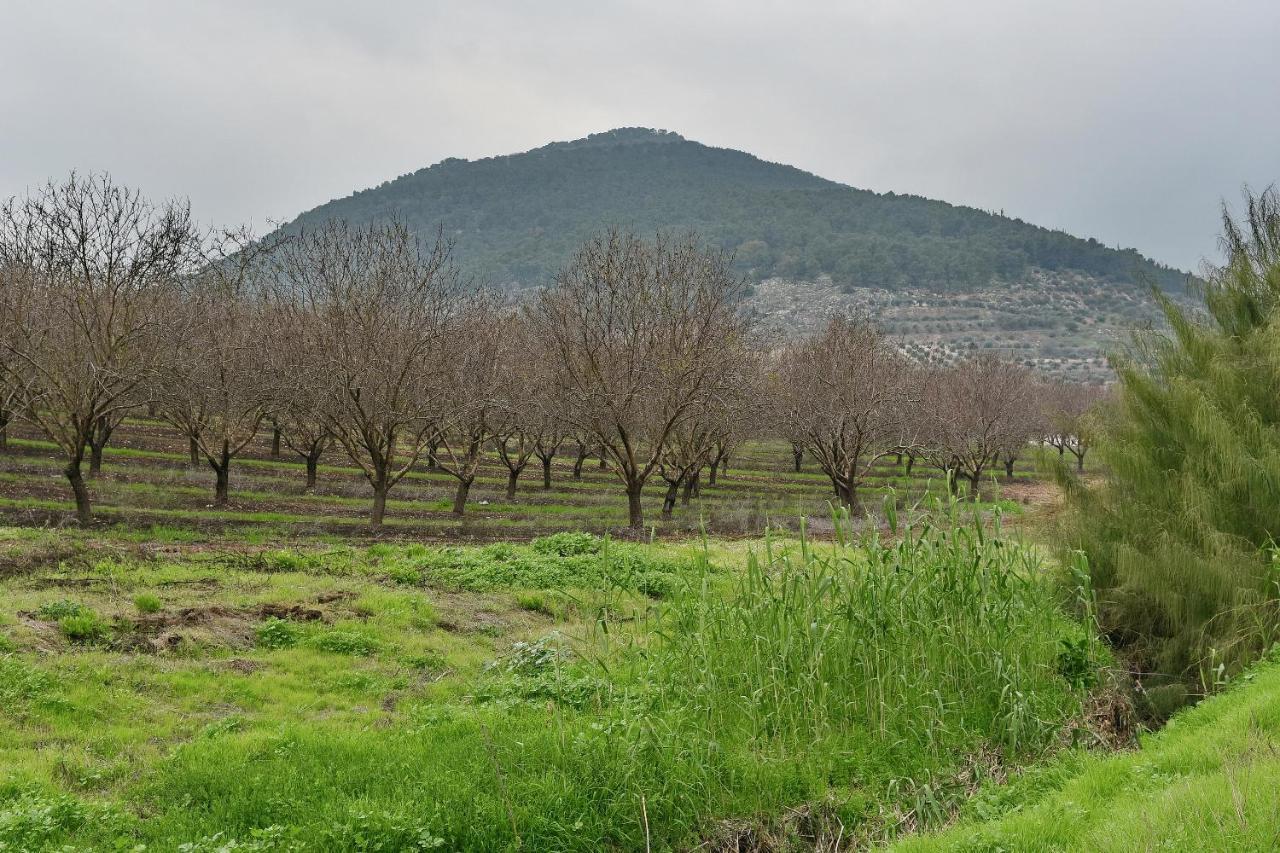Pearl Of The Valley Hotel Kfar Tavor Exterior photo